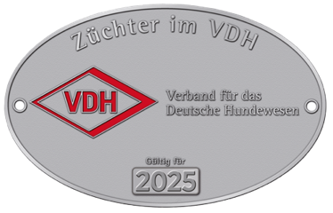 VDH Zicht