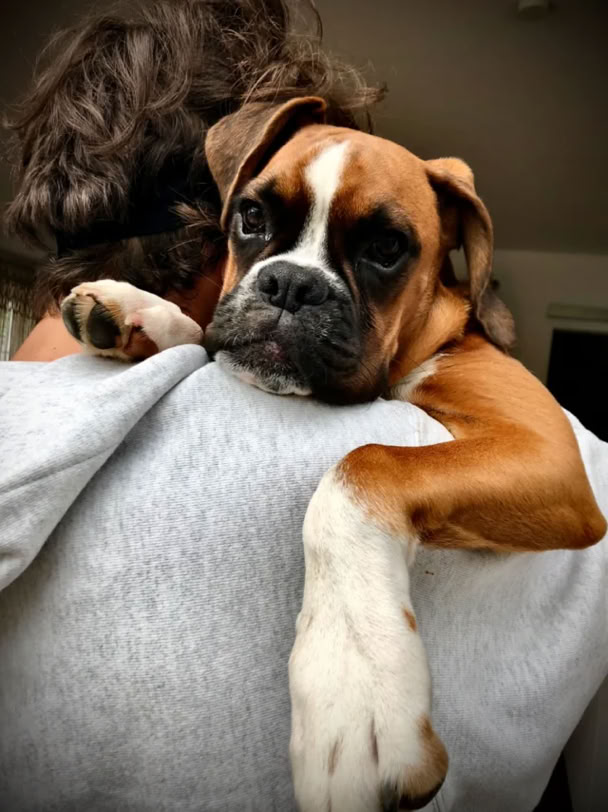 Vahile von Exkalibur