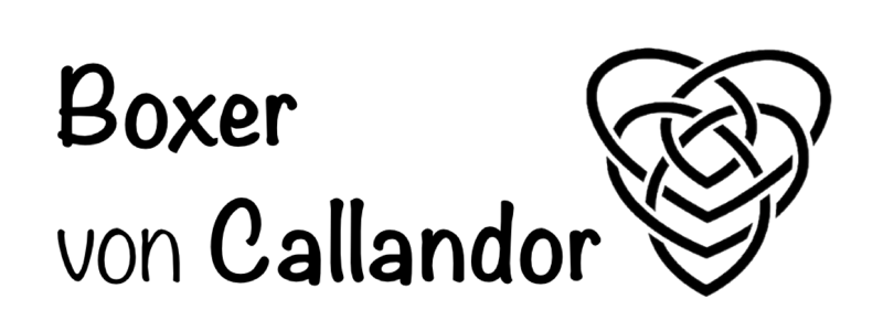 Logo von Boxer vom Callandor