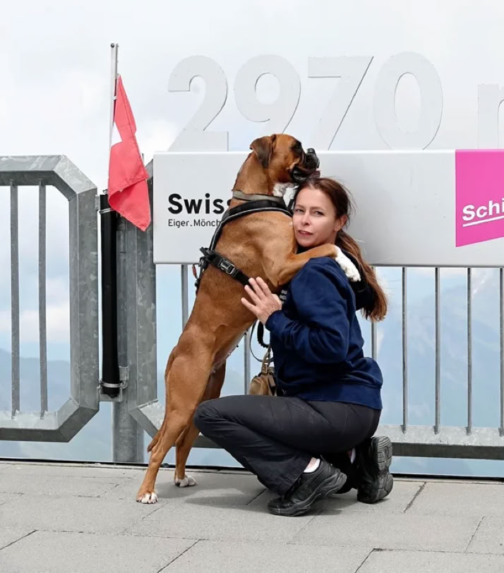 Vahile von Exkalibur