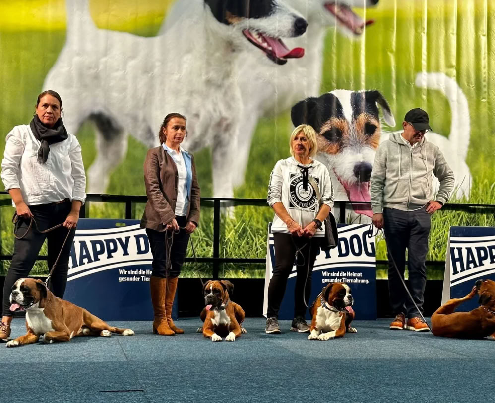 Vahile von Exkalibur auf einer Rasseausstllung in Oldenburg